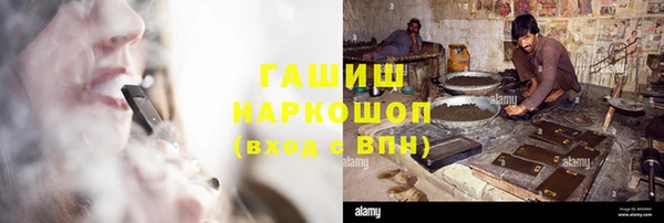 прущие грибы Арсеньев