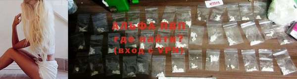 прущие грибы Арсеньев