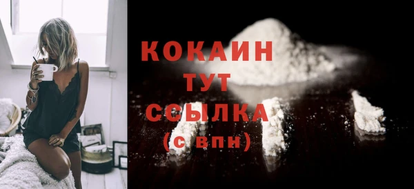 крисы Армянск