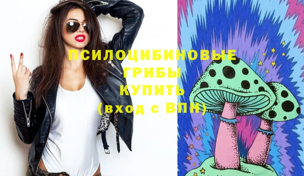крисы Армянск