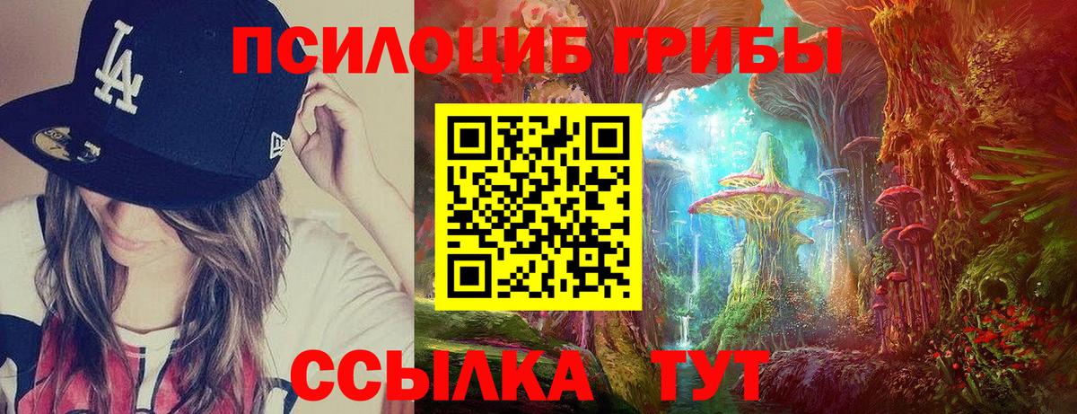 Галлюциногенные грибы Psilocybine cubensis  Вход с VPN  Когалым 