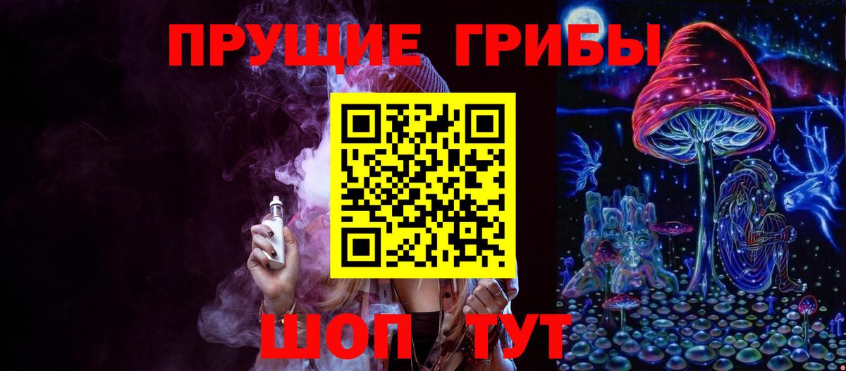 Псилоцибиновые грибы Psilocybe Когалым